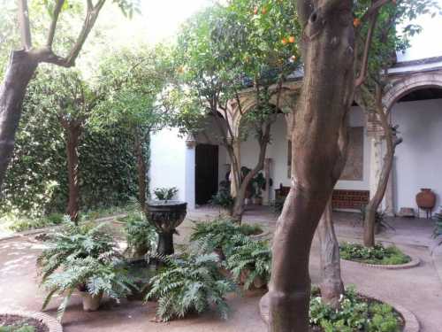 Patio in Córdoba 