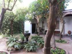 Patio in Córdoba