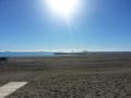 Leerer Strand mit Kreuzfahrtschiffen, hier Marbella im Januar.